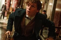 埃迪·雷德梅尼演的魔法师电影之神奇动物在哪里 男神成名作 