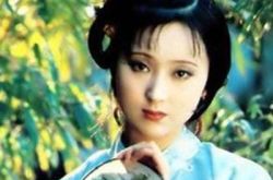 陈力红楼梦介绍 经典电视剧中的实力演员 