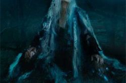 成泰燊演过的电影《玉战士》 芬兰票房夺冠其“恶”名远扬 