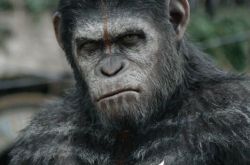 卡彭贝基电影之猩球崛起：黎明之战 人类与大猩猩之间的战争 