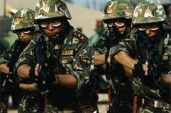 盘点杨凡主演武装特警 我国首部“反恐”题材电视剧 