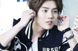 鹿晗演的电视剧或电影有哪些 《我是证人》与杨幂携手出演 