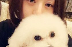 碧瑶死了？赵丽颖素颜抱狗安慰粉丝：别哭了 我还没死