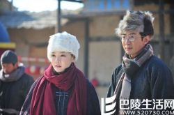 蔡琳演的电视剧《李家大院》 新中国成立前夕的一段晋商故事 