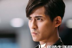 反贪风暴林德禄执导黄百鸣监制 一部刺激的商业犯罪动作片 