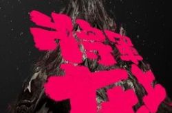 将军在上柳惜音身世是什么 将军在上柳惜音是西夏公主吗