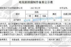 大浦东剧情简介介绍 一共多少集|有几集