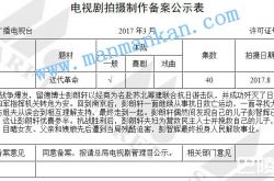 雨花台剧情简介介绍 一共多少集|有几集