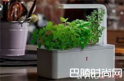 Click and Grow智能花盆介绍 Sensorwake Olfactory 闹钟介绍Aura One电子书阅读器介绍Raden A22 Carry 智能行李箱介绍