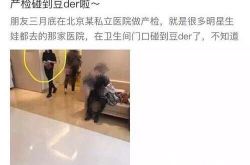 王思聪豆得儿会结婚吗？王思聪女友豆得儿怀孕