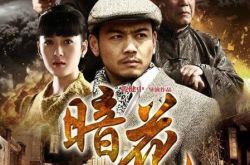 谭凯主演的电视剧盘点 谭凯真是老当益壮谁说不是呢