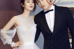 赵丽颖林更新最新消息 两人被曝谈恋爱在一起了吗