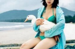 女星最大尺度瑜伽照姿势尴尬 王子文老公资料扒出是超富二代