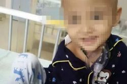 6岁小悦悦不幸离世 患病前后事件始末小小的生命大大的力量
