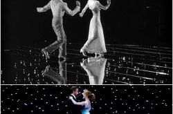 百老汇旋律1940介绍 睡美人介绍红气球介绍一个明星的诞生介绍持摄影机的人介绍午夜巴黎介绍八部半介绍城市英雄介绍