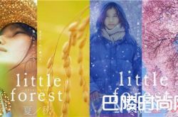 《小森林》美食电影简介 《南极料理人》美食简介电影《海鸥食堂》美食电影简介《朱莉与朱莉娅》美食电影简介《香料共和国》美食电影简介《月代头布丁》美食电影简介《落魄大厨》美食电影简介