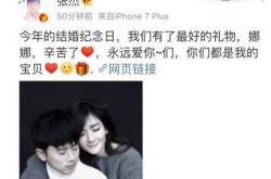 张杰宣布谢娜怀孕 谢娜怀孕几个月了