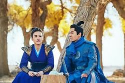 将军在上大结局胡青怎样了 胡青喜欢叶昭么