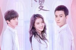 新版泡沫之夏播出时间及演员表介绍