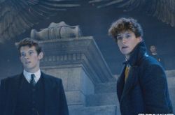 《神奇动物》第3集比前2集加起来更浩大 延后开拍原因曝光