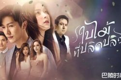 吹落的树叶泰剧什么时候播？Baifern变性陷不伦恋