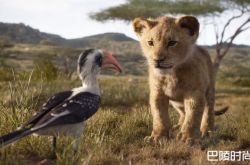 《狮子王》7大彩蛋盘点 新旧版差异在哪呢