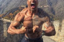 巨石强森确认DC《黑亚当》即将开启制作 WWE摔角巨星化身超级反派