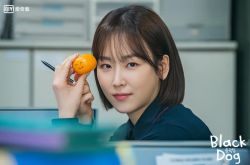 《BLACK DOG》冬日暖阳结局看完起鸡皮