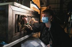 《侏罗纪世界3》宣告杀青 什么时候上映