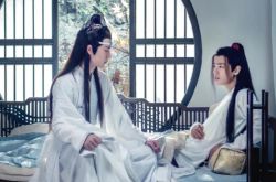 《陈情令》爆下架 紧盯耽改剧严查