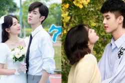 2021年值得看的电视剧盘点 评价超出预期9部剧介绍