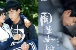 9部小说作者兼编剧改编电视剧盘点