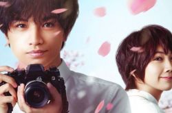 中岛健人演技引泪崩 电影《我的樱花恋人》虐心7大看点揭秘