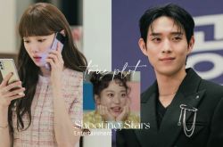 《流星》揭密娱乐圈潜规则 陪酒陪睡演技烂透当主角