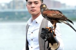 窦智孔简介,窦智孔主演的电视剧