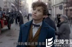 九部影片扎堆上映 神奇动物在哪里上映首日票房取得开门红