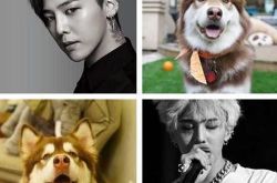 权志龙的7样奢侈品竟是这些 王思聪买GD同款项链当狗链