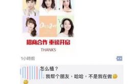 曝欢乐颂2广告植入起步价450万 曲筱绡成行走的广告牌