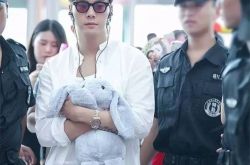 陈伟霆为什么喜欢兔子 明星的童心未眠