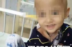 小悦悦不幸离世 事件始末遭扒父母称会生二胎