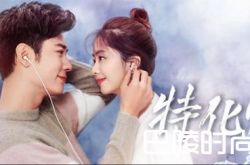 《特化师》39-40集剧情沙恬将前进沈芸消息告知王霄 王翼得知王霄阴谋 分集剧情介绍(1-42集)大结局