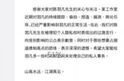 陈羽凡公司发文回应偏激行为 山高水远，江湖再见