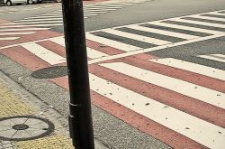 众生百态秀睡姿 夜晚狂欢后的清晨日本街头