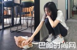 杨幂爆很爱养猫 杨幂撸猫登热搜