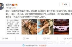 崔永元再爆《大轰炸》有内幕 范冰冰又被无辜牵连