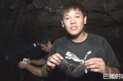 卢学叡吃蝙蝠爆浆 为了节目牺牲自己