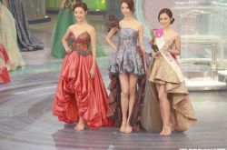 2018香港小姐选美出炉 陈晓华夺冠