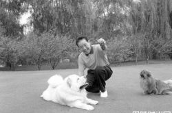 单田芳有几个子女？爆女儿是侯耀文唯一女徒弟