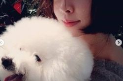 蔡依林爱狗达人 精心打扮屋虎