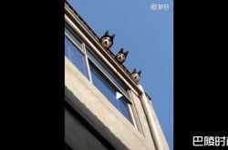 2018年十大网络流行语盘点 杠精佛男子是什么？